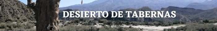 banner-desierto-tabernas